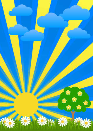 Dawn Flower Fields flooded with sunlight のイラスト素材