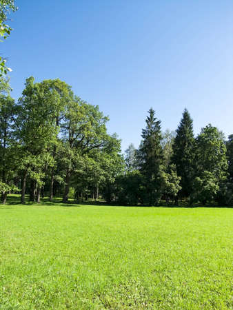 landscape bathed in sunlight lawn and blue skyの写真素材