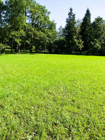 landscape bathed in sunlight lawn and blue skyの写真素材