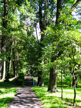 landscape path to the stairs in the parkの写真素材