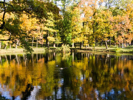 golden autumn autumn landscape reflected in waterの写真素材