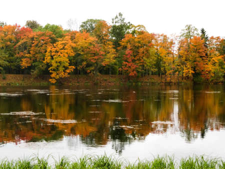 golden autumn autumn landscape reflected in waterの写真素材