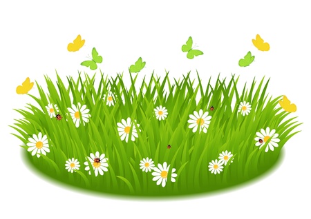green grass with daisies, butterfly and ladybugsのイラスト素材