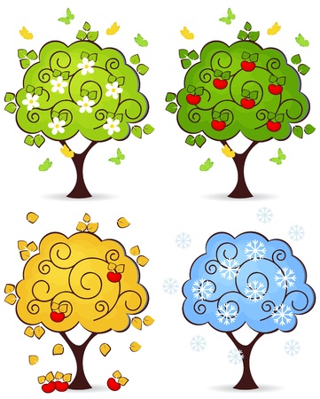 Four seasons of spring, summer, autumn, winter in a tree isolated on white backgroundのイラスト素材