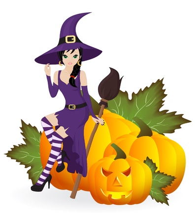 witch with a broom on the pumpkins isolated on white backgroundのイラスト素材