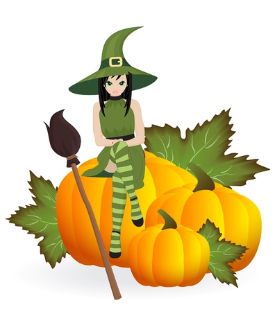 witch with a broom on the pumpkins isolated on white backgroundのイラスト素材