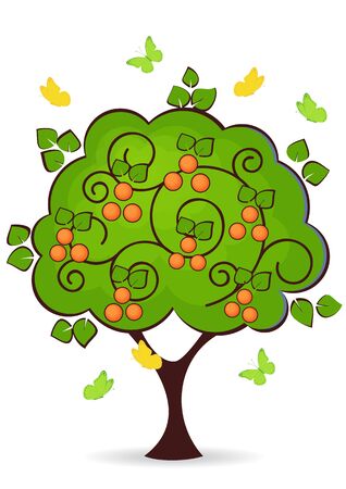 mandarin tree with ripe fruits isolated on white backgroundのイラスト素材