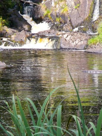 Beautiful small waterfall in a green deciduous forestの写真素材
