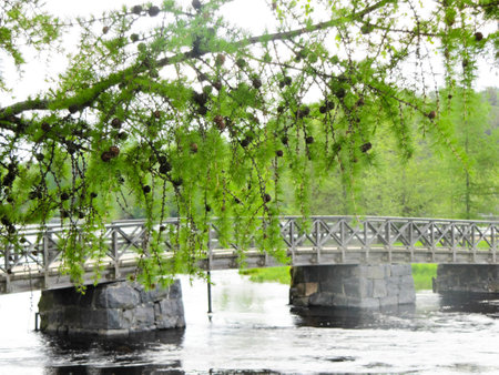 the bridge over the river on the background of natureの写真素材