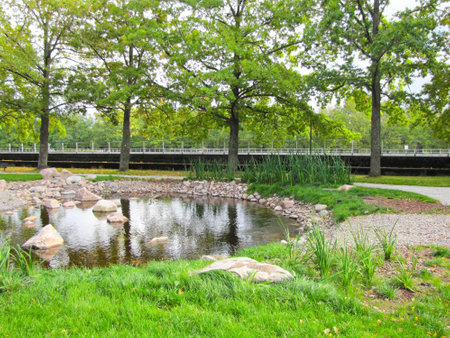 Beautiful small waterfall in a green deciduous forestの写真素材