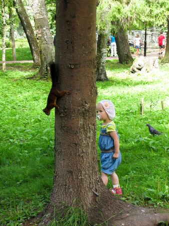 the girl in the blue suit feeding a squirrel in the woodsの写真素材