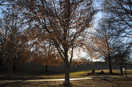 Piedmont Park, Atlanta Georgiaの写真素材