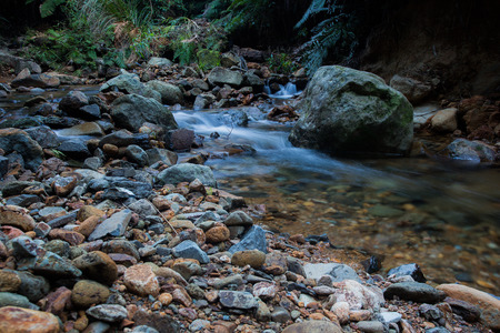 maimai riverwater forest