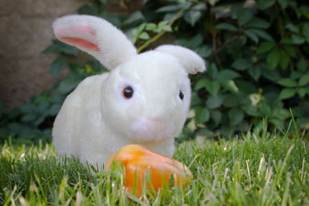 a toy rabbit in the grassの写真素材
