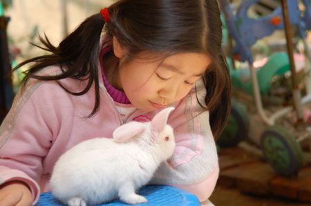 Little asian girl with the baby rabbitの写真素材