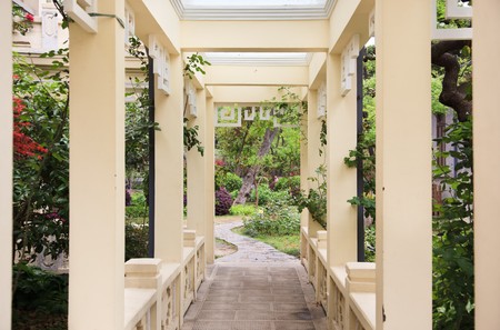Pergola and plant in a gardenの写真素材