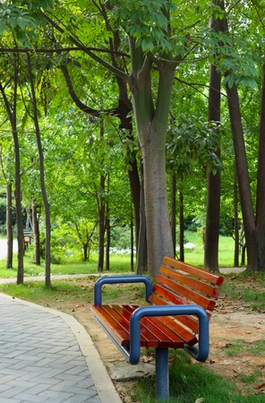 Bench in park.の写真素材