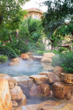 Detail of the Landscaping/gardening around pool featuring water fog and plants in a new residential districtの写真素材