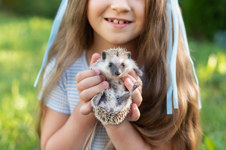 Caucasian young girl holding hedgehog in hands outdoors with blue ribbon and striped dress.の写真素材