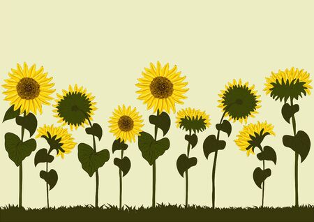 Sunflowersのイラスト素材