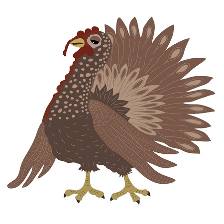 Turkey cockのイラスト素材