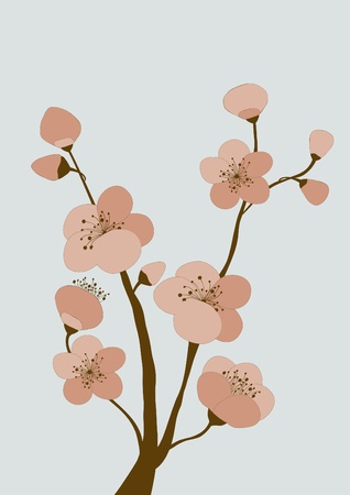 Branch with cherry blossomsのイラスト素材