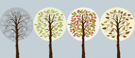 Trees in seasonsのイラスト素材