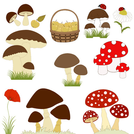 Set of cartoon mushrooms on white backgroundのイラスト素材