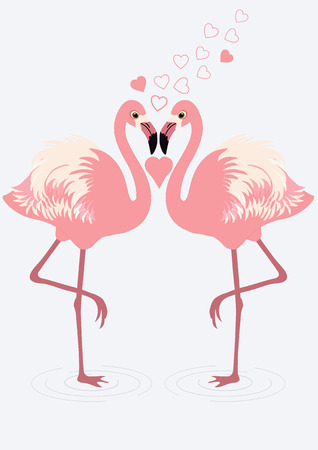 Pair of flamingos on blue backgroundのイラスト素材