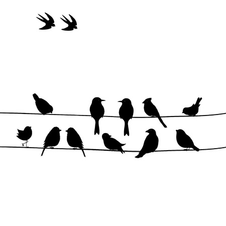 Cute black birds on a wireのイラスト素材