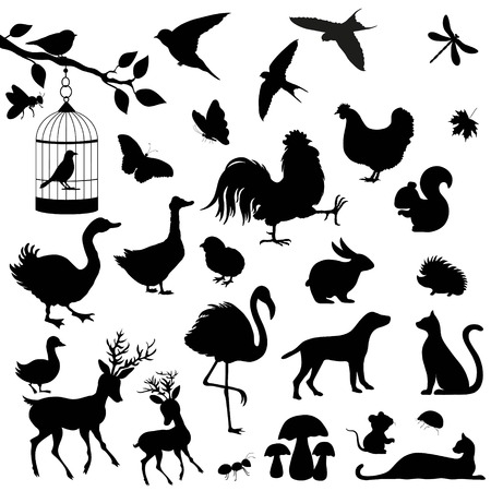 Cute animals silhouetes on white backgroundのイラスト素材