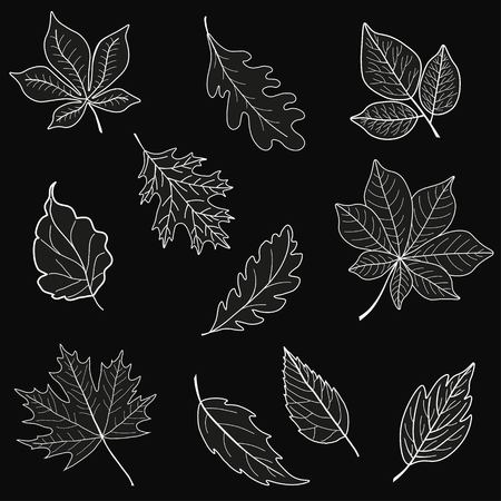 Set of leaves. Black and white imageのイラスト素材