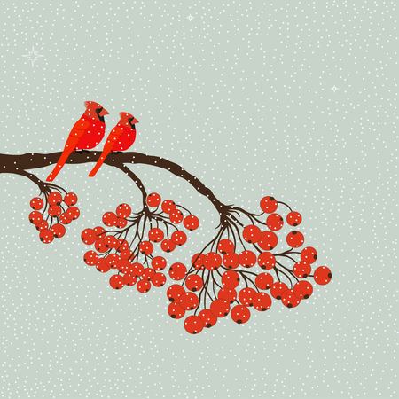 Two red birds cardinal on branch with berriesのイラスト素材
