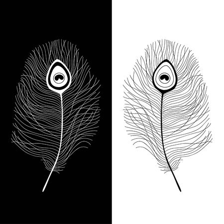 Black and white illustration with peacock featherのイラスト素材