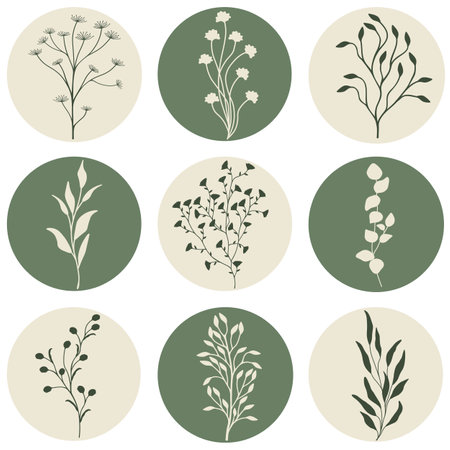 Vector illustration with set of wild plantsのイラスト素材