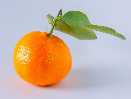 mandarin on white backgroundの写真素材