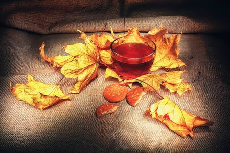 autumn cup of warm teaの写真素材