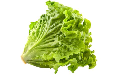 Green salad isolated on whiteの写真素材