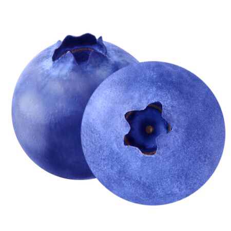 Isolated blueberries. Fruit blueberries isolated on white background as package design element. Healthy eating.の写真素材
