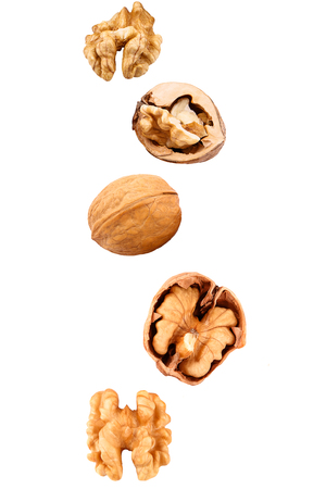 Falling walnuts isolated on white backgroundの写真素材