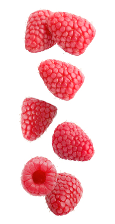 Isolated flying berries. Falling raspberry fruits isolated on white background with clipping path as...