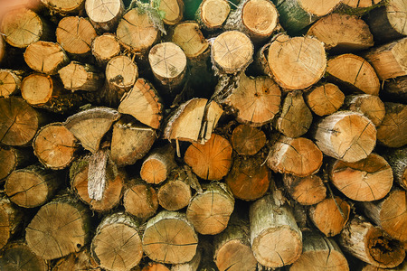 Wood logs background. Pile of cut tree wood as abstract natural background.の写真素材