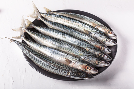 Background of healthy food with raw fresh blue fish. Soft focus, Free copy space.の写真素材