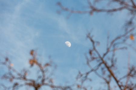 Blue sky with small dense white cloudsの写真素材