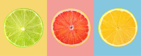 Composition of slices citrus fruits on colored backgroundの写真素材
