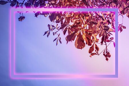 Close-up of autumn sky and eaves painted in neon colourの写真素材