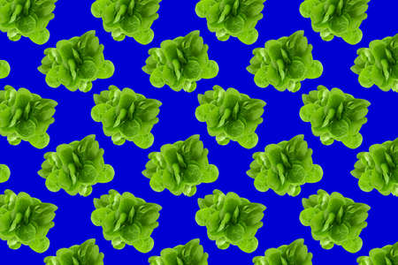 Pattern of fresh vegetables isolated on creative colored texture