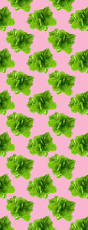 Pattern of fresh vegetables isolated on creative colored textureの写真素材