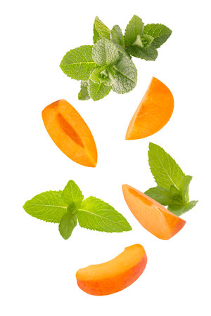 Falling down mint herb and apricots isolated on white backgroundの写真素材