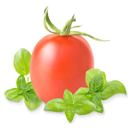 One whole tomato and basil leaves isolated on the white with shadowの写真素材